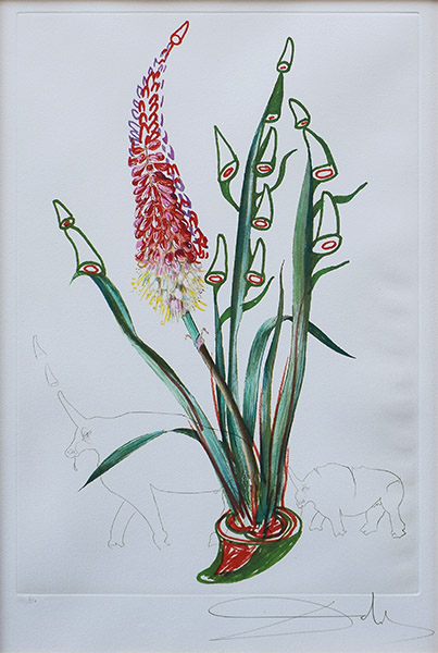 サルバドール ダリ 絵画販売 東京 銀座 京橋の翠波画廊 サルバドール ダリ 絵画販売 東京 銀座 京橋の翠波画廊