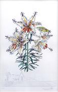 ダリ 絵画販売 | 絵画販売 - 東京・銀座の翠波画廊