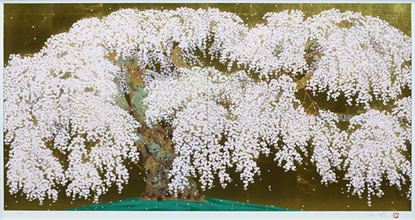 中島千波｜神田の大糸櫻